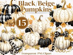 the black and white pumpkins are all decorated with gold, black and white bows