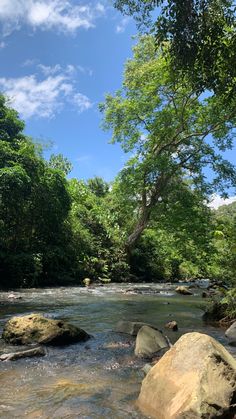 a river running through a forest filled with lots of green trees and large rocks under a blue sky