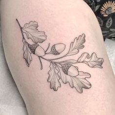 a woman's thigh with an oak leaf tattoo on her left leg and acorn sprouts