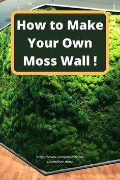 a moss wall with the words how to make your own moss wall in front of it