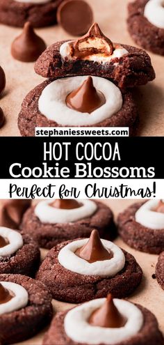 hot cocoa cookie blossoms perfect for christmas