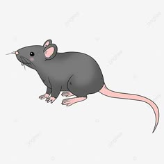 a gray rat sitting on its hind legs, cartoon, animal png and psd