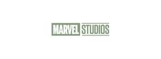 the logo for marvel studios, which has been designed by person and features green letters