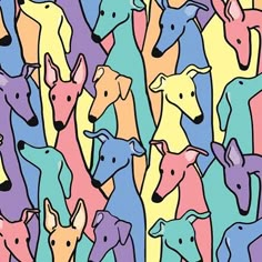 an image of many different colored dogs in the same pattern as they are standing together