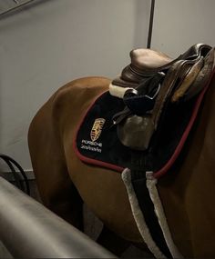 a brown horse wearing a black and red saddle