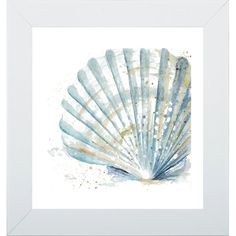 a watercolor painting of a seashell in a white frame on a white wall