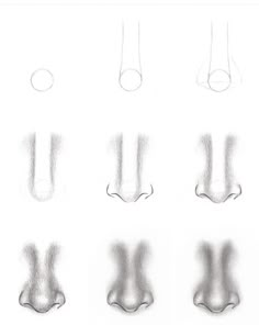 an image of different shapes and sizes of feet