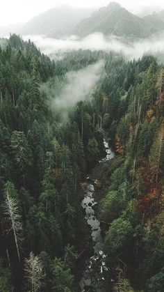 an aerial view of a river in the middle of a forest surrounded by fog and low lying trees