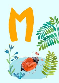 the letter m is for ladybug in the water with leaves and plants around it