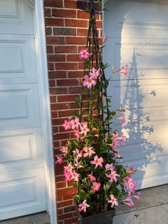 a potted plant with pink flowers hanging from it's side next to a garage door