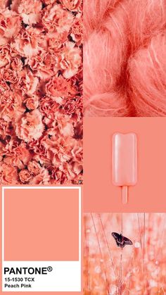 pantone's color of the year peach pink