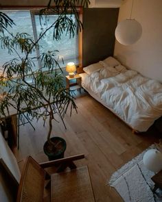 a bed sitting next to a small tree in a room with wooden floors and walls