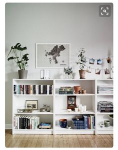 a bookshelf filled with lots of books next to a potted plant on top of a hard wood floor