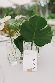 there are two vases with plants in them on top of the table number three