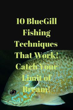 a fish with the words 10 blue gill fishing techniques that work catch your line of dreams