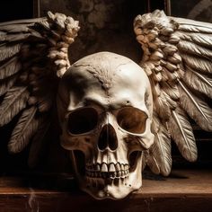 a human skull with wings on top of it