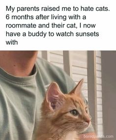 a man holding a cat in his arms and the caption reads, my parents raised me to hate cats 6 months after living with a roommate and their cat, i now have a buddy to watch sunsets with