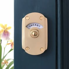 a close up of a door handle on a blue door with flowers in the background