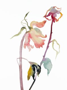 a watercolor painting of a flower on a white background