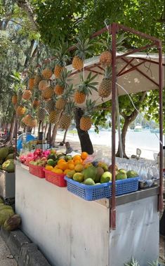 an outdoor fruit stand with pineapples, oranges and melons