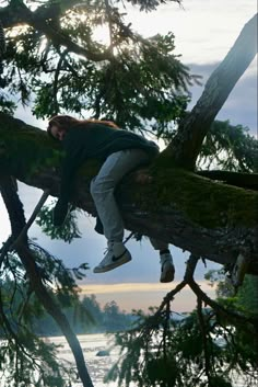 a man is hanging from a tree branch