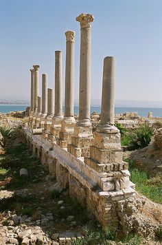 the ruins of an ancient city near the ocean are covered in stone columns and grass