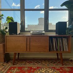 an entertainment center in front of a window filled with plants and books on top of a rug