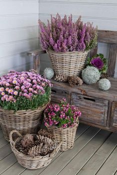 several baskets filled with flowers sitting on top of a wooden floor next to a bench