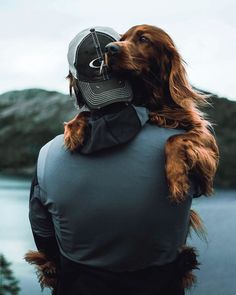 a man with a dog on his back wearing a baseball cap and vest over his shoulder