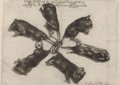 an old drawing of animals tied to each other with ropes in the shape of four paws