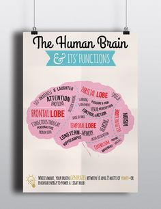 Medical Diagram Poster on Behance Diagram Poster, Human Brain, Consciousness, Energy