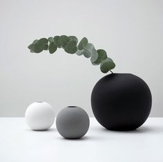 three different colored vases sitting next to each other on a white counter top with a green plant in the middle