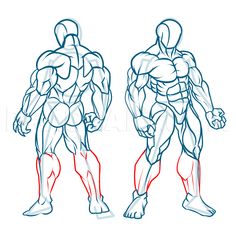 how to draw the human body in 3 easy steps