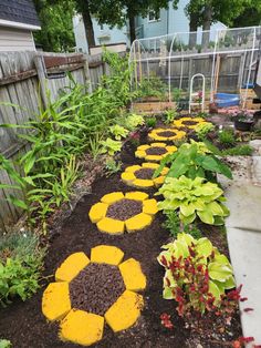 a garden filled with lots of plants and dirt