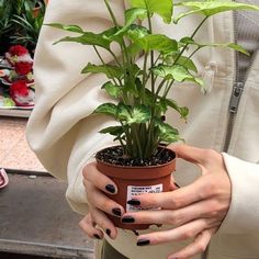 a woman holding a potted plant in her hands