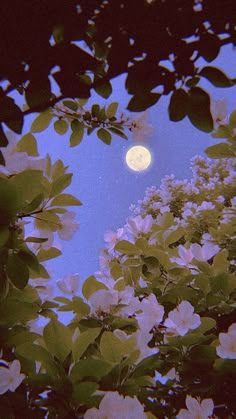 the moon shines brightly through the branches of trees in front of some white flowers