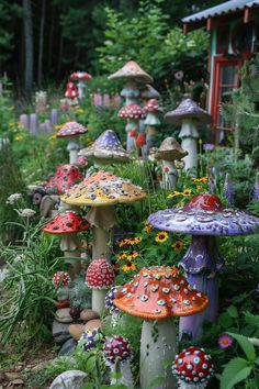 many different colored mushrooms are in the garden