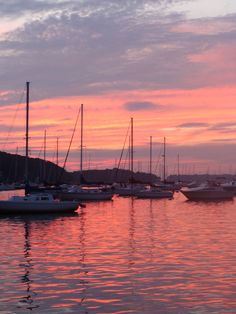 many boats are docked in the water at sunset