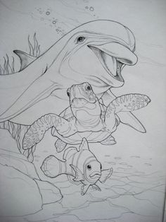 a pencil drawing of two fish and a shark in the water with another fish nearby