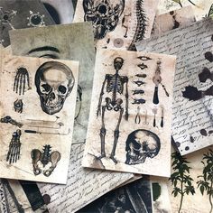 several different types of skeleton images on old paper