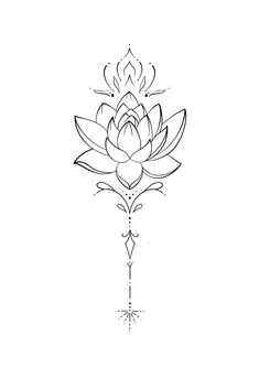 a black and white drawing of a lotus flower