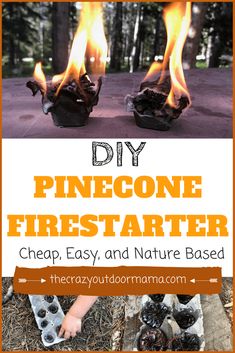 the homemade diy pinecone fire starter is easy to make and uses natural materials