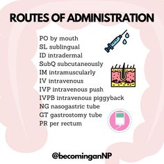 a pink poster with the words routes of administration