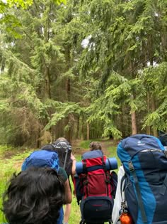 three people with backpacks are sitting on a bench looking at the woods and trees