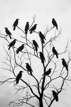 a flock of birds sitting on top of a tree