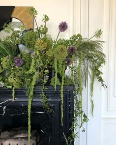 a fire place with some plants on it