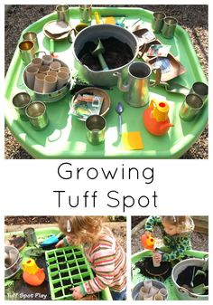 a collage of photos showing different stages of growing tuffspot in pots and pans