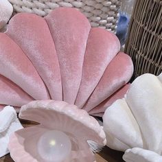 pink and white seashells are sitting on the floor