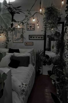 a cat sitting on top of a bed in a room filled with plants and lights