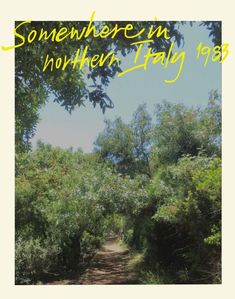 a dirt road surrounded by trees and bushes with the words somewhere in northern italy 1953